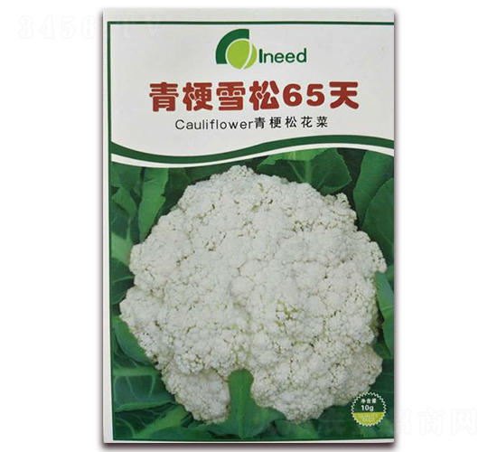 �๣ѩ��65��-�ɻ��˷N��-�����