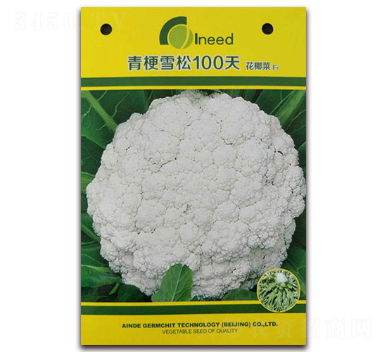 �๣ѩ��100�컨Ҭ��F1-��Ҭ�˷N��-�����