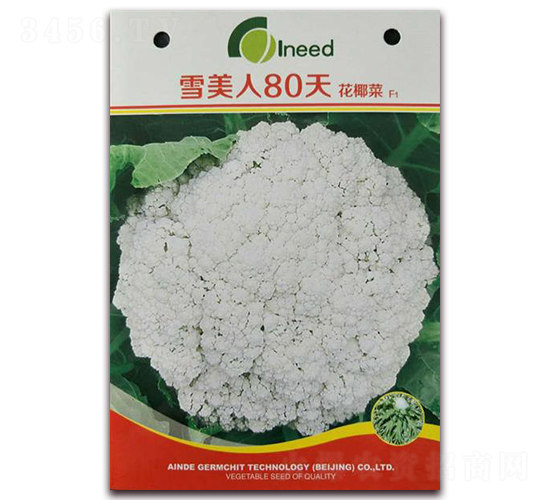 ѩ����80�컨Ҭ��F1-��Ҭ�˷N��-�����