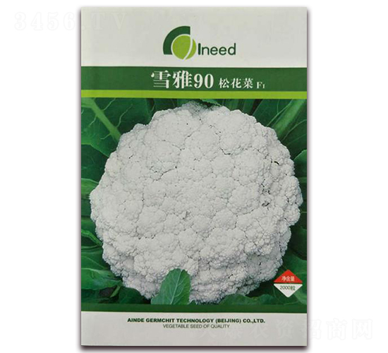 ѩ��90���ɻ���F1-�ɻ��˷N��-�����