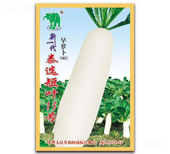 ��һ��̩�x���~13̖(h��o)���}��-�}���N��-���S�N�I(y��)