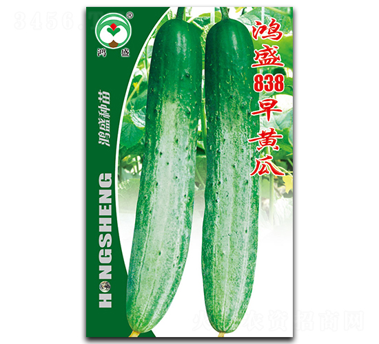 ��ʢ838���S��-�S�ϷN��-��ʢ�@