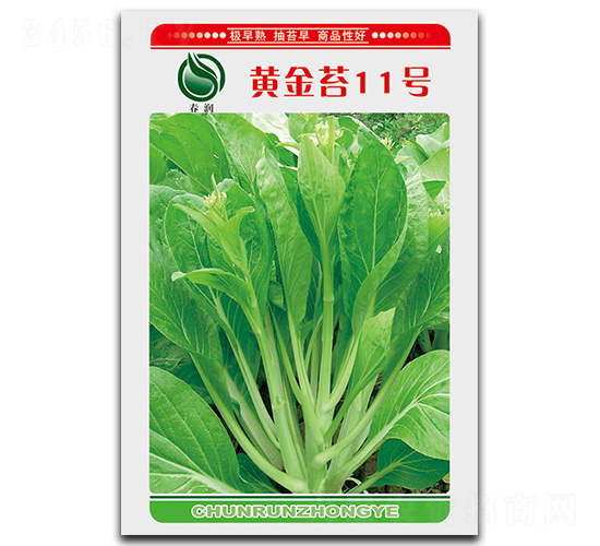 �S��̦11̖-��̦�N��-��ʢ�@