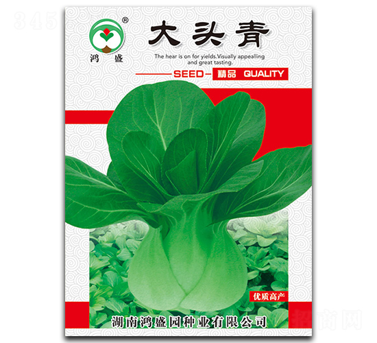 ���^��-��˷N��-��ʢ�@