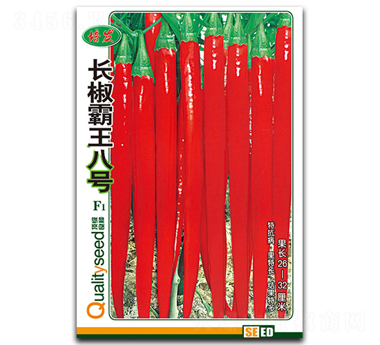 �L��������̖-�����N��-��ʢ�@