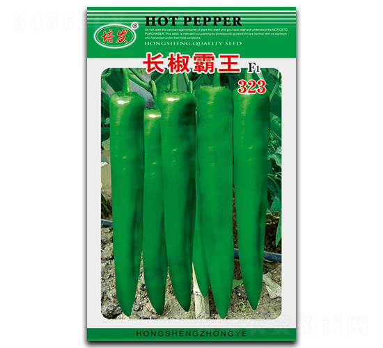 �L������323-�����N��-��ʢ�@