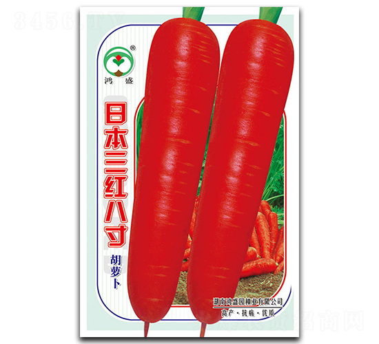 �ձ����t�˴�-���}���N��-��ʢ�@