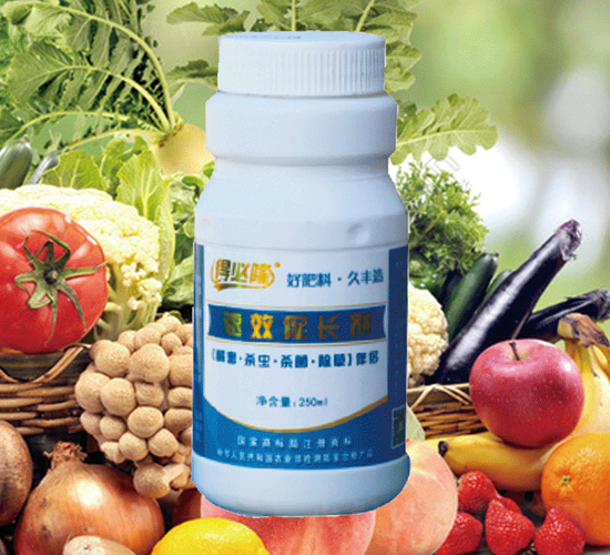 ��Ч���L(zh��ng)��-�r(n��ng)�����S