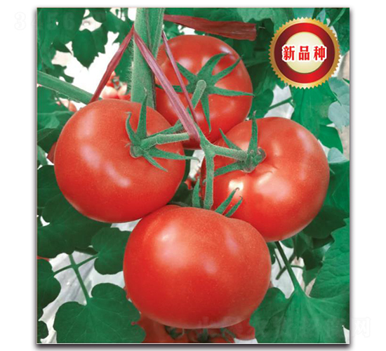 �����214-���ѷN��-�����o(j��)�N��