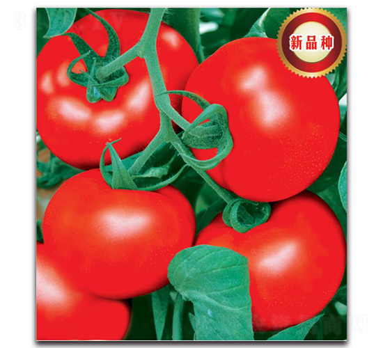 �����122-���ѷN��-�����o(j��)�N��