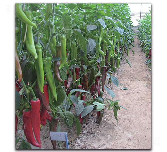 ����-�����N��-�����o(j��)�N��