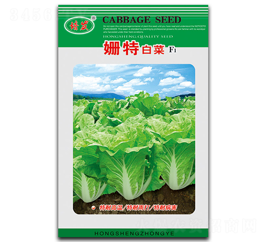 ����-�ײ˷N��-��ʢ�@