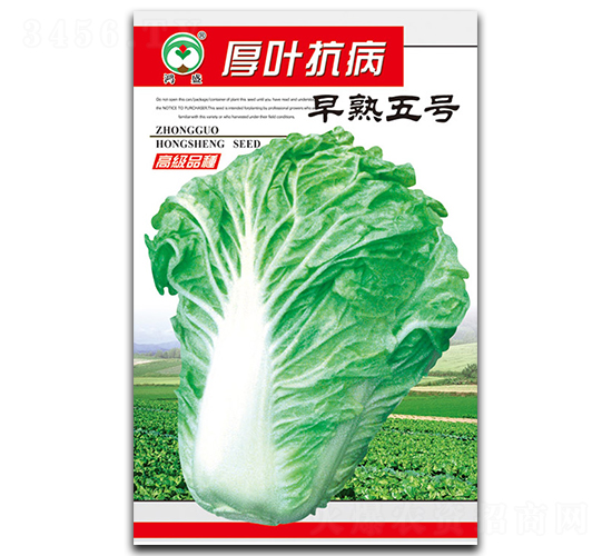 ���~����������̖-�ײ˷N��-��ʢ�@