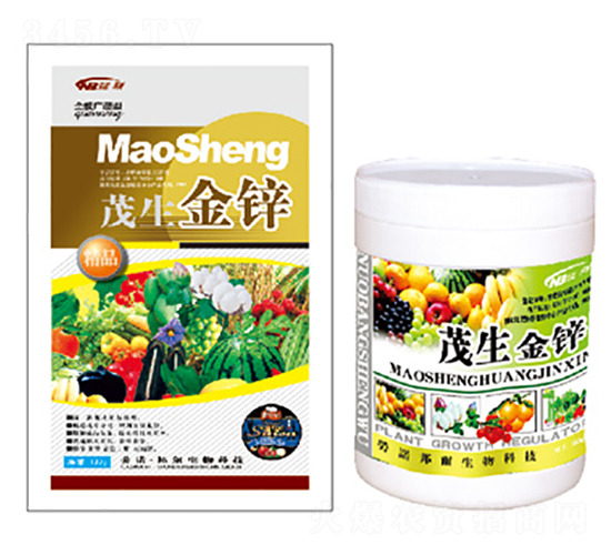 ï�����\-������