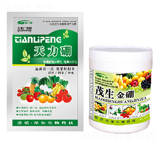 ������+ï������-������