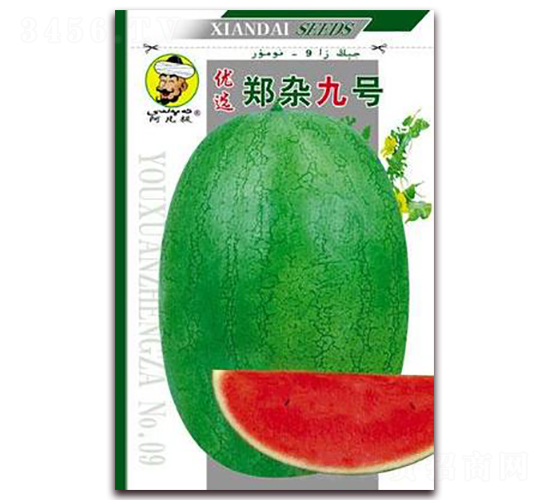 ���s��̖-���ϷN��-�F(xi��n)���N�I(y��)