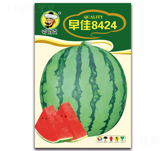 ���8424-���ϷN��-�F���N�I(y��)