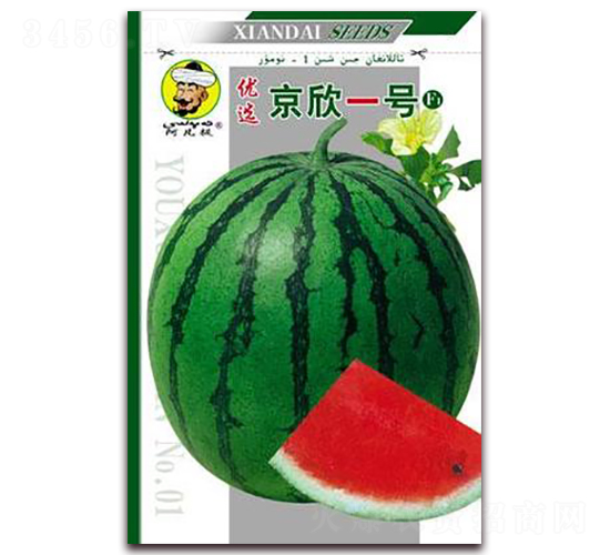 ����һ̖-���ϷN��-�F(xi��n)���N�I(y��)