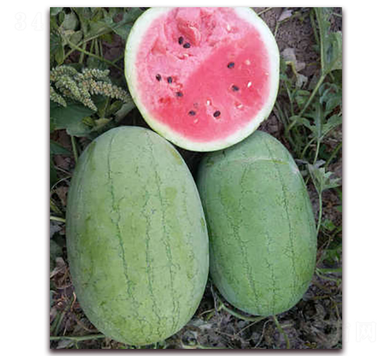 �t����-���ϷN��-�F(xi��n)���N�I(y��)