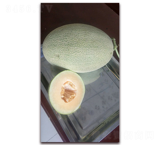 ��ؐ��̖-��ϷN��-�F(xi��n)���N�I(y��)