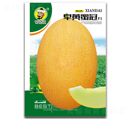 ���S�۹�F1-��ϷN��-�F(xi��n)���N�I(y��)