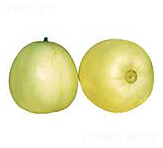 ѩ��-��ϷN��-����