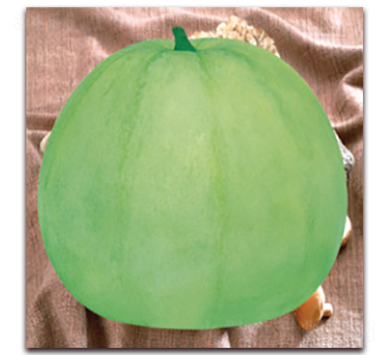 ����-��ϷN��-����