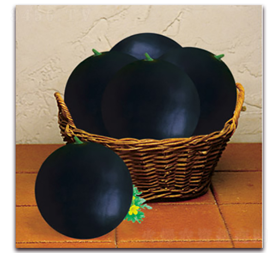 ī���`-��ϷN��-����