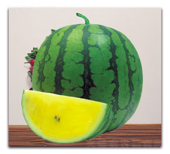 �ی�-���ϷN��-����