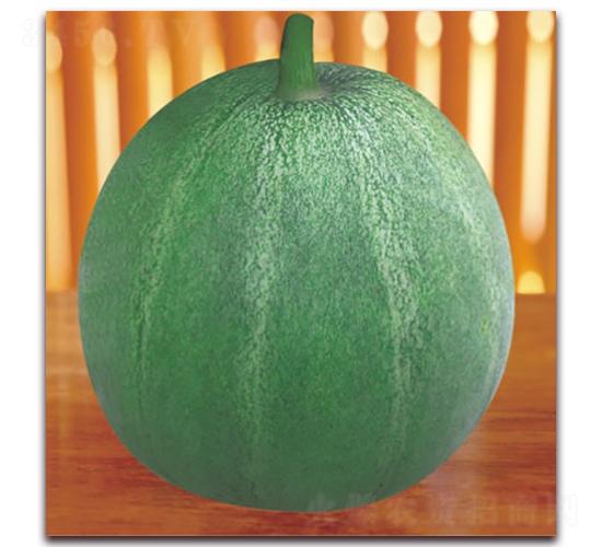 ������-��ϷN��-����