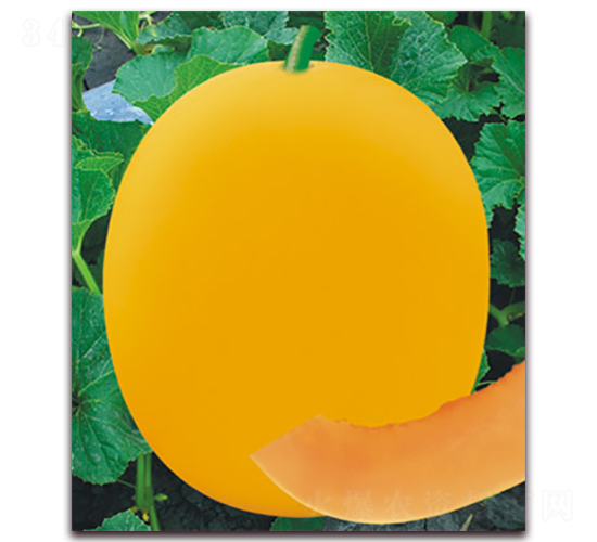 �t�@ʯ-��ϷN��-����