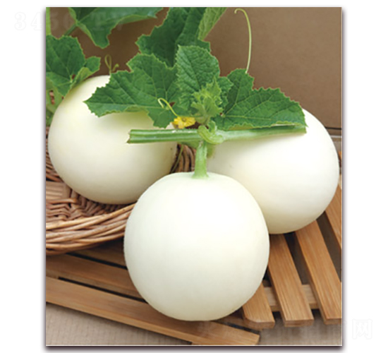 �ʺ�-��ϷN��-����