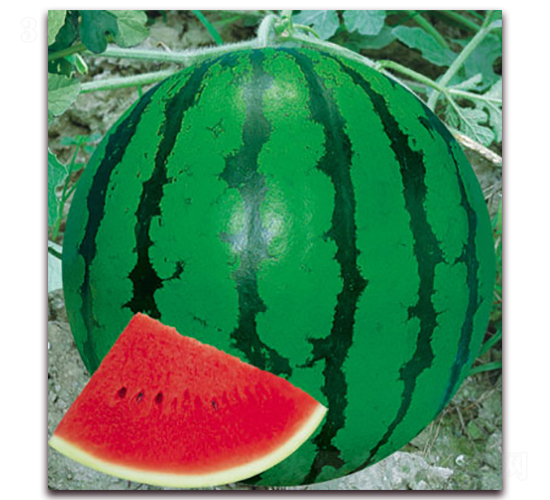 ��(j��ng)��-���ϷN��-����