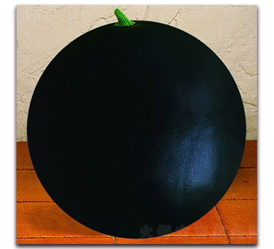 �r(n��ng)�l(f��)��̖-���ϷN��-����