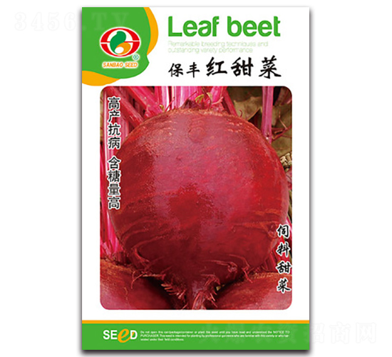 ���S�t���-��˷N��-�����N�I(y��)