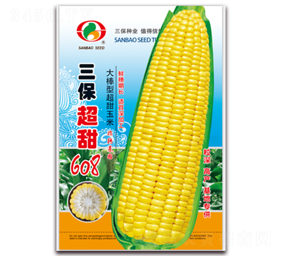 ��������608-�����׷N��-�����N�I(y��)