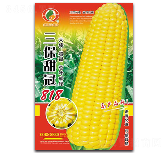 �������818-�����׷N��-�����N�I(y��)