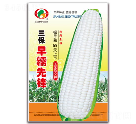 ������Ŵ���h-Ŵ���׷N��-�����N�I(y��)