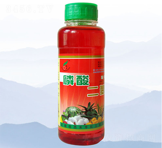 500ml��������-���S