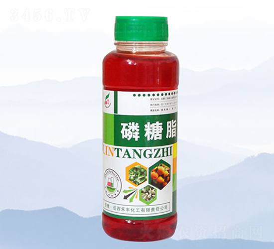 ����֬-���S