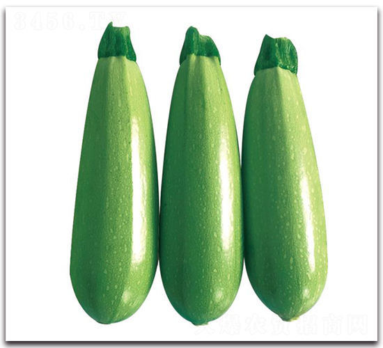 �ۿ�3̖-�����J�N��-��ľ�N��