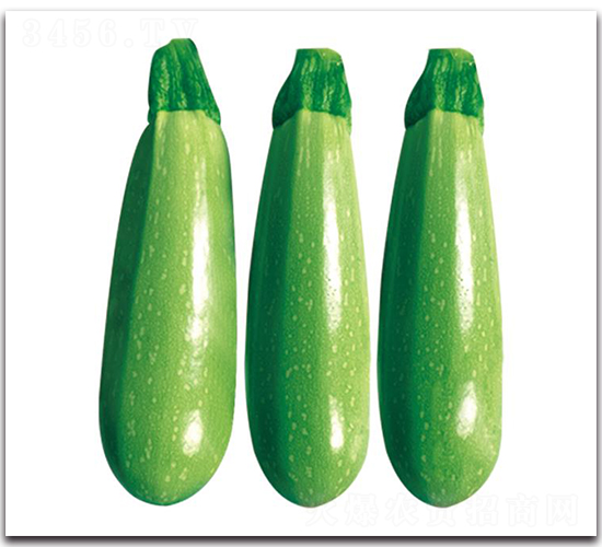 �ۿ�2̖-�����J�N��-��ľ�N��