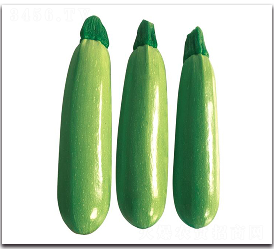 �ۿ�1̖-�����J�N��-��ľ�N��