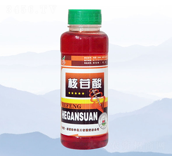 ������-���S