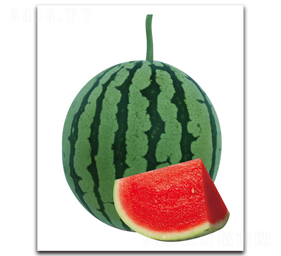 �H��9̖-���ϷN��-��ľ�N��