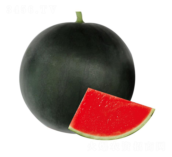 �H��8̖-���ϷN��-��ľ�N��