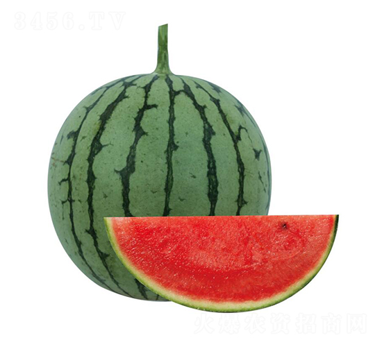 �H��4̖(h��o)-���ϷN��-��ľ�N��