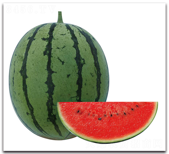 �H��2̖(h��o)-���ϷN��-��ľ�N��