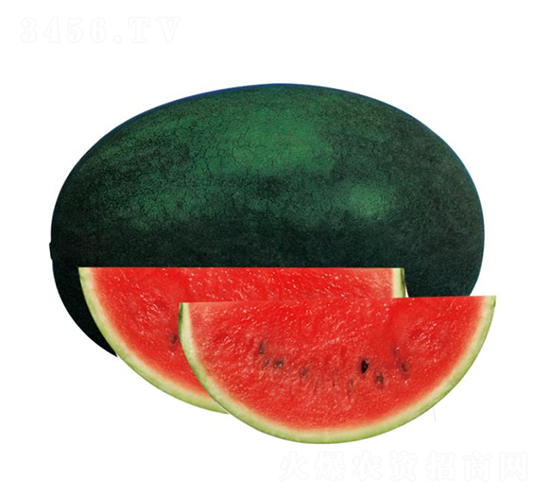 �H��1̖(h��o)-���ϷN��-��ľ�N��