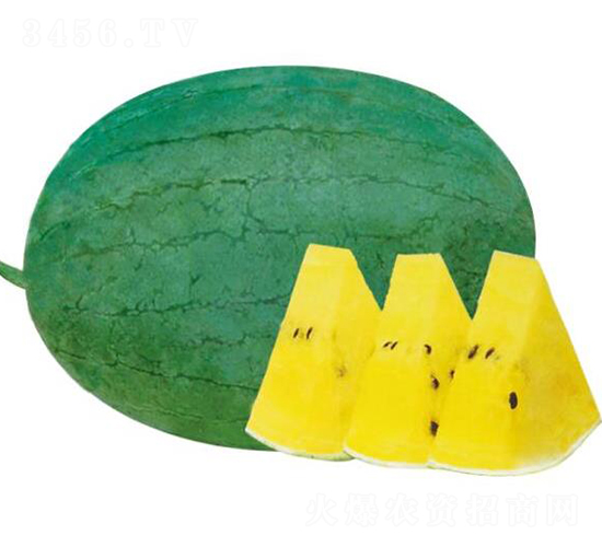 �G����-���ϷN��-��ľ�N��